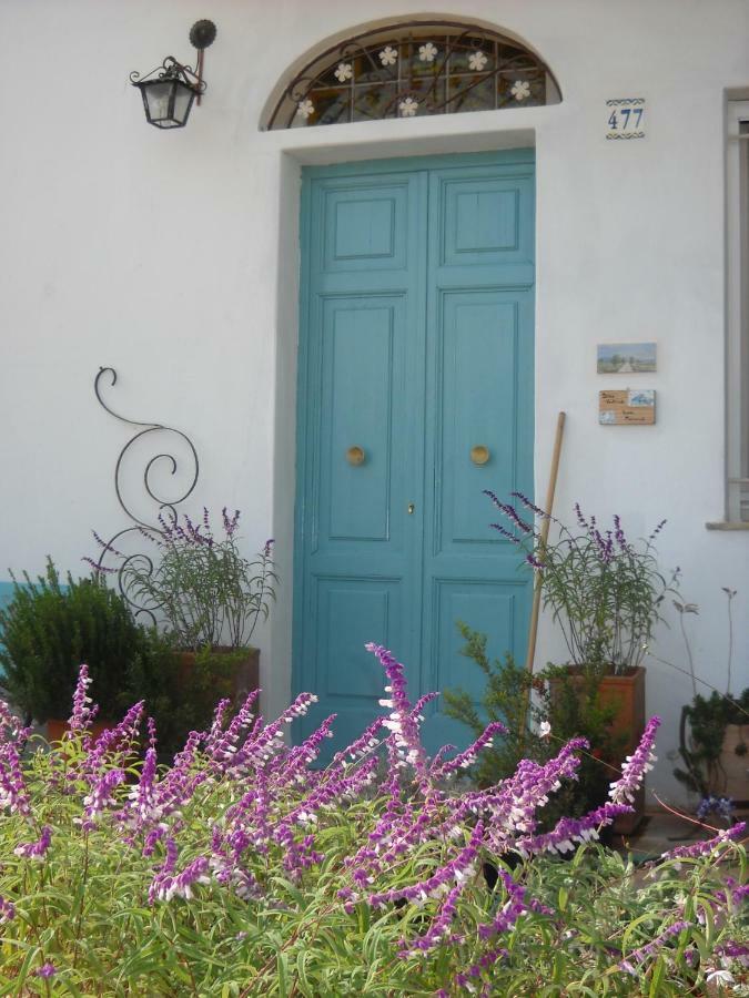 Giardino Della Moscatella Bed and Breakfast Altamura Εξωτερικό φωτογραφία