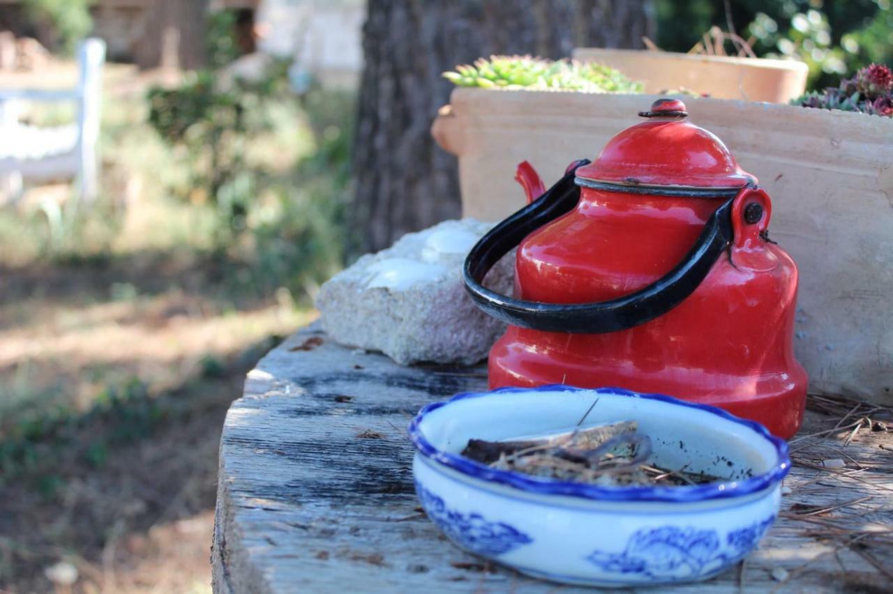 Giardino Della Moscatella Bed and Breakfast Altamura Εξωτερικό φωτογραφία