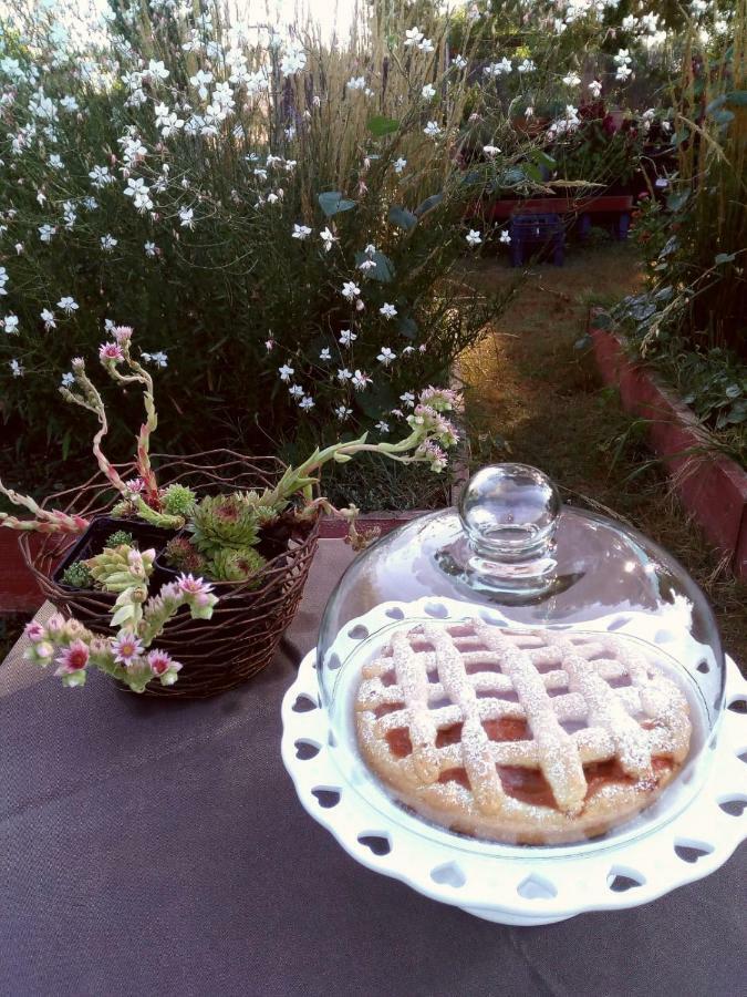 Giardino Della Moscatella Bed and Breakfast Altamura Εξωτερικό φωτογραφία