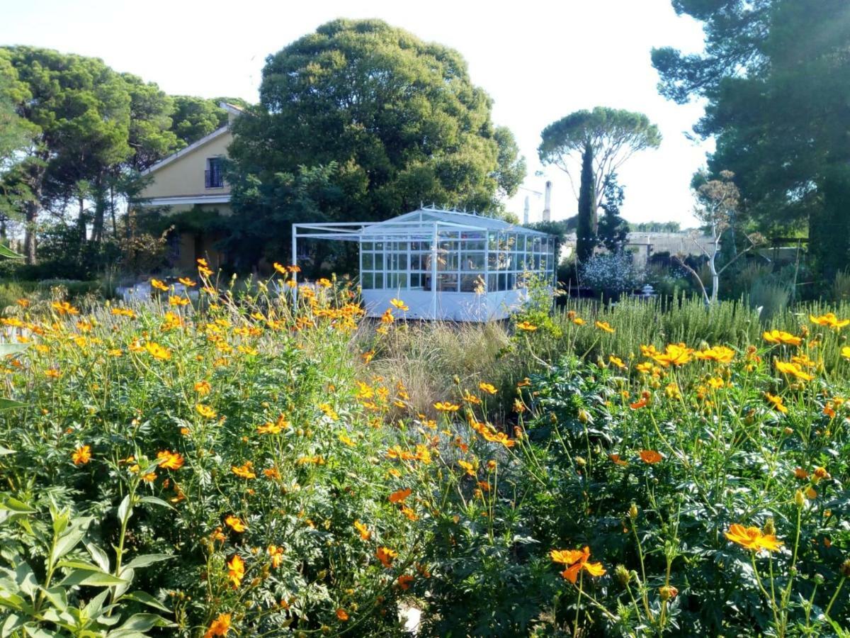 Giardino Della Moscatella Bed and Breakfast Altamura Εξωτερικό φωτογραφία
