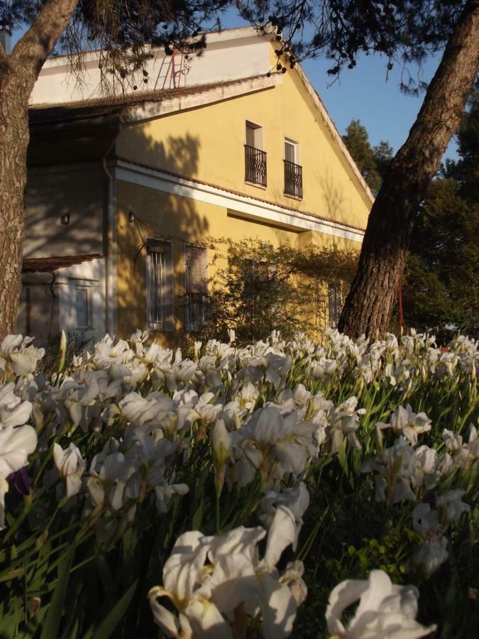 Giardino Della Moscatella Bed and Breakfast Altamura Εξωτερικό φωτογραφία